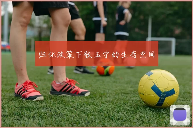归化政策下张玉宁的生存空间