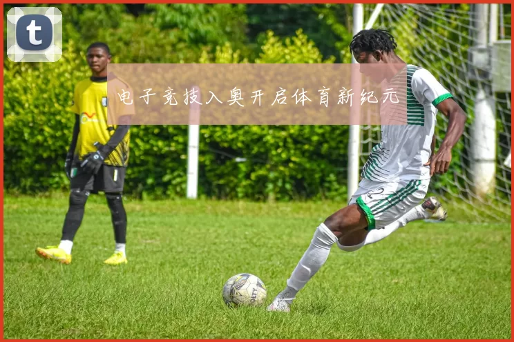 电子竞技入奥开启体育新纪元